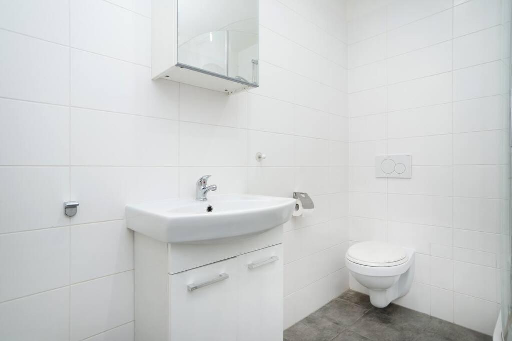 Bright, Spacious Apartment In The Historic Centre Prague Extérieur photo